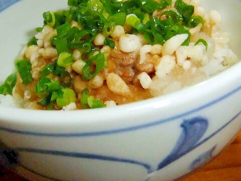 納豆揚げ玉ねぎの入った小どんぶり